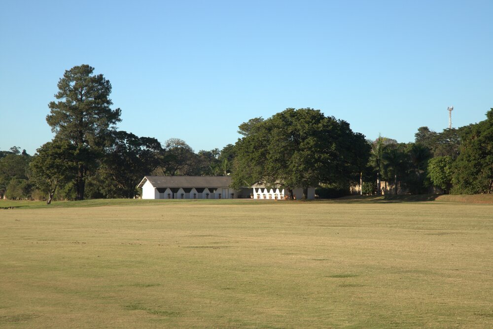 Campo aberto na região de Helvetia